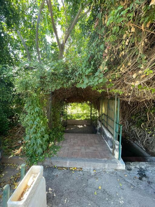Hébergement de vacances Casa Taormina Miranaxos Giardini-Naxos